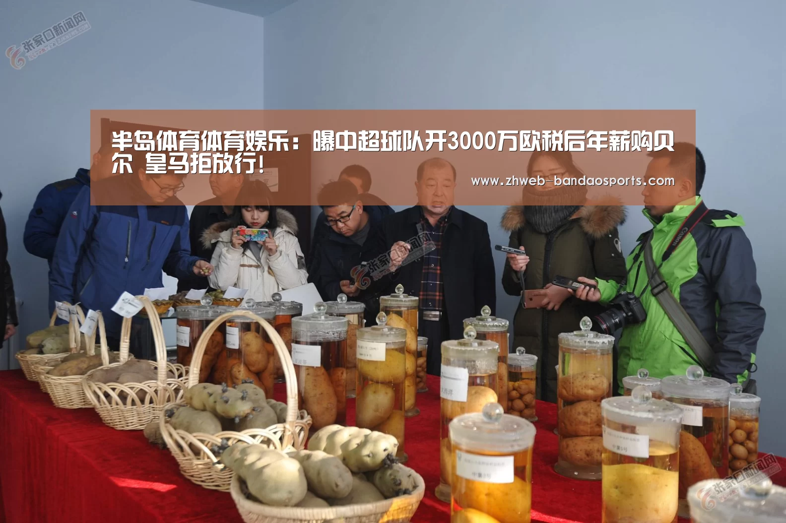 半岛体育线上观看