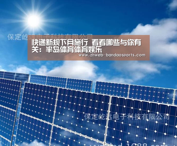 半岛体育体育网