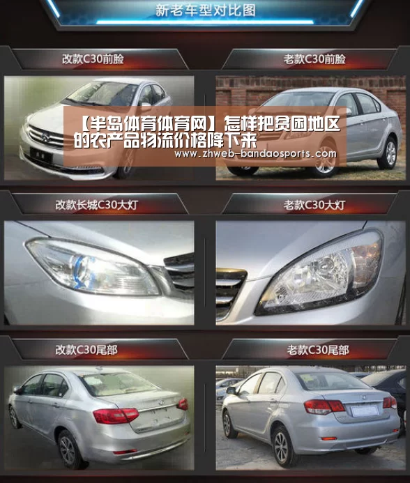 半岛体育体育网