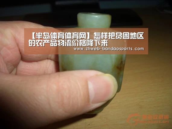 半岛体育体育网